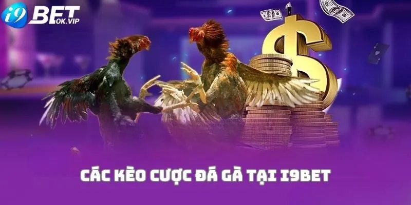 Hướng dẫn Bet88 - Bạn đang muốn tìm thông tin nào về Bet88?
